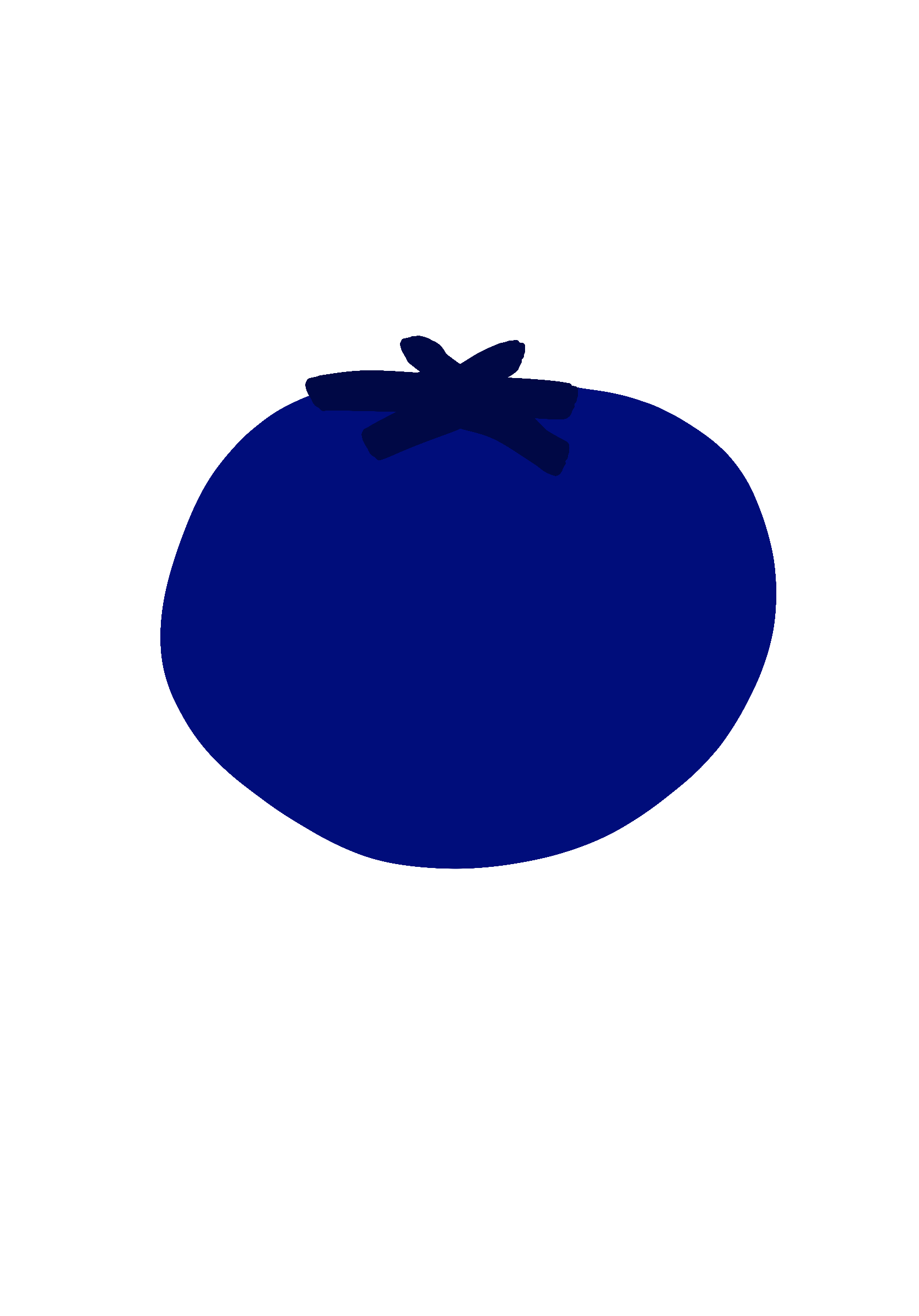 drawing of a blueberry