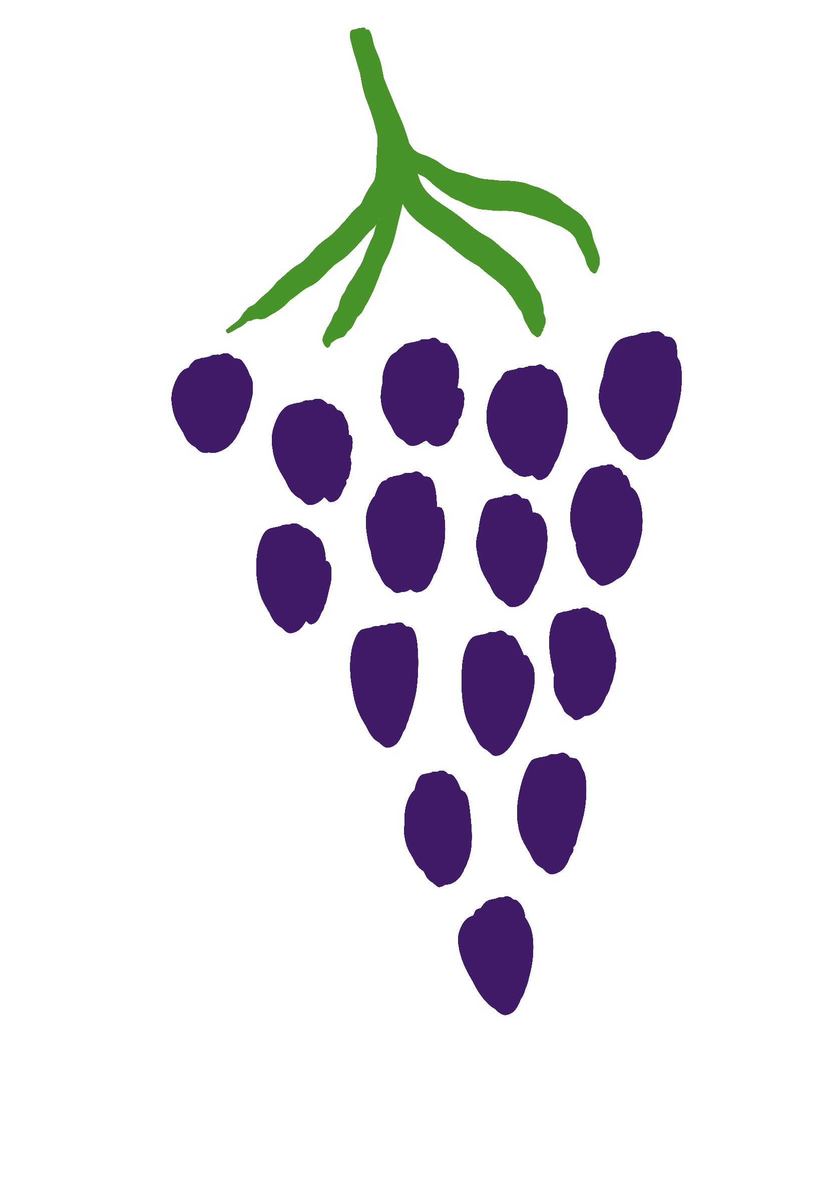 drawing of grapes